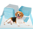 Träningsmaterial – Hunden Utehållande lagers design Valpunderlag Puppy Pads (90 x stycken) – 6 60 cm 150 – Blå