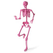 Halloween – skelett, livsstort, poserbart med rörliga leder, dekoration – 160 cm – Rosa