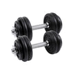 Halterset – Gietijzeren dumbbells – 30 kg – Zwart