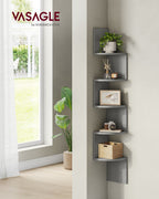 Wandplank Met 5 Planken Voor Planten En Cd'S