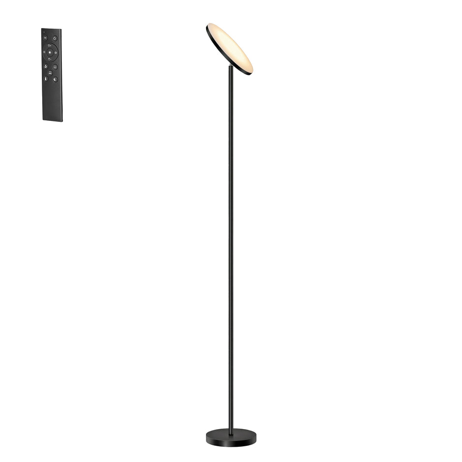 LED Vloerlamp - 30 W - Draaibare Kop - Met Afstandsbediening - Zwart