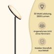 LED Vloerlamp - 30 W - Draaibare Kop - Met Afstandsbediening - Zwart