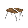 Bijzettafels – Set van 2 – Industrieel design – Bruin/Zwart