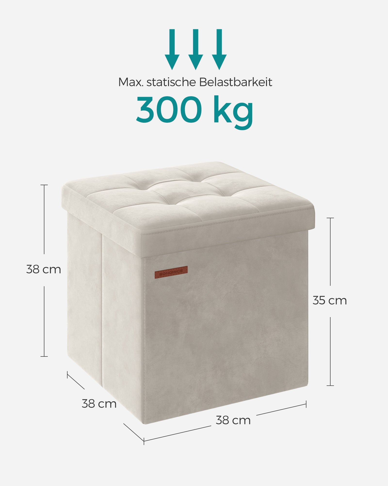 Bank – met opbergruimte – fluweel – 38 × 38 × 38 cm