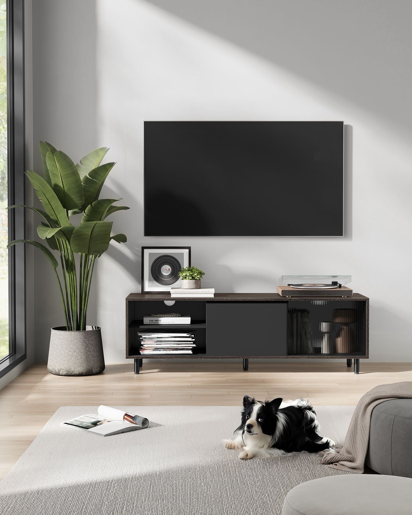 Uitschuifbare TV-meubel – Wolkenwit/Natuurlijk Beige – Voor TV’s tot 60 inch – Met schuifdeuren en verstelbare plank