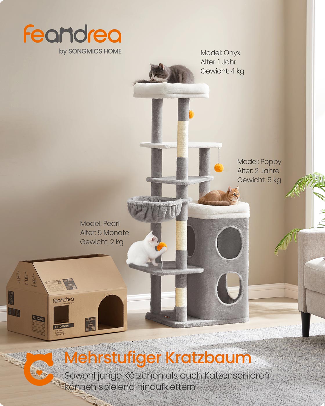 Kattenboom met meerdere niveaus en grotten - Duifgrijs