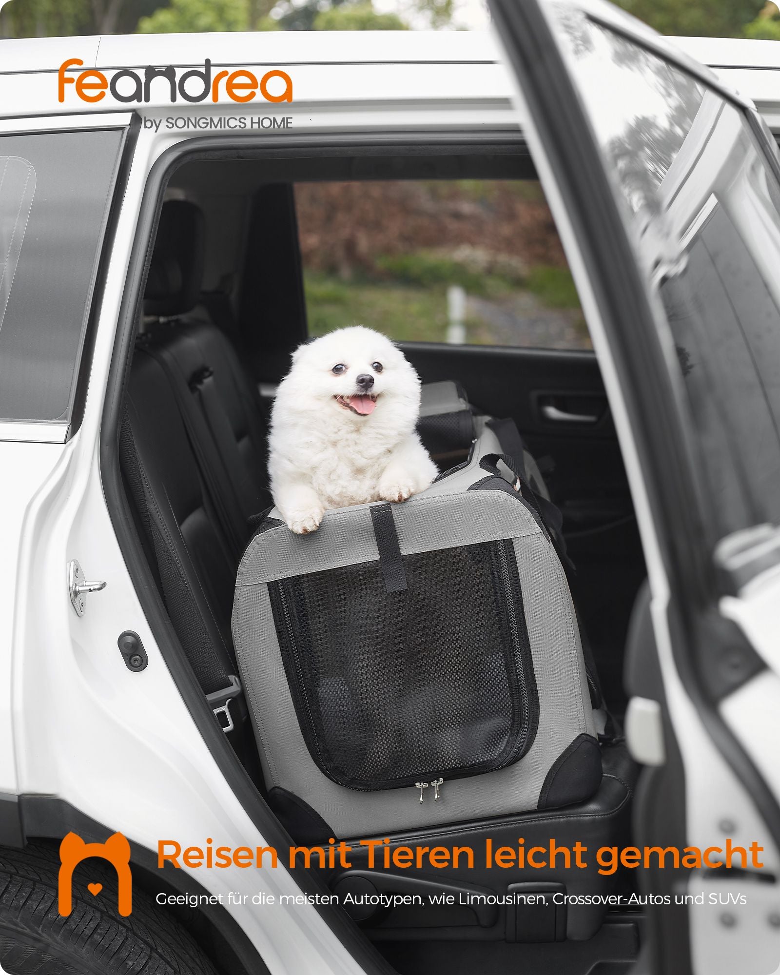 Hondenbox M – Opvouwbaar en lichtgewicht – Rookgrijs