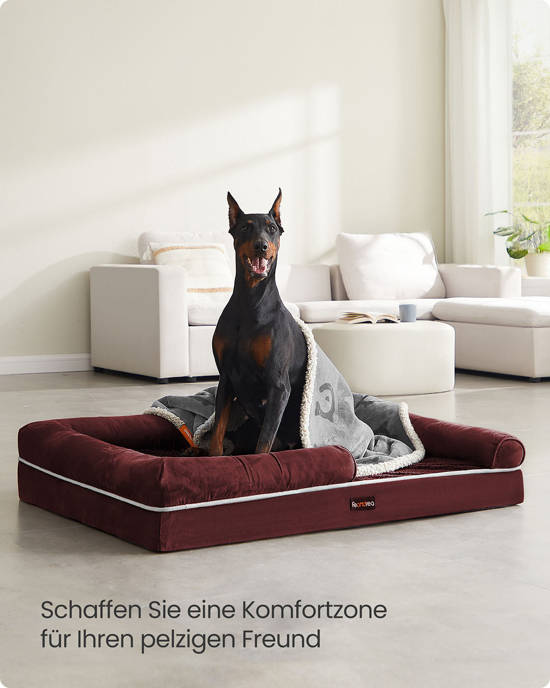 Orthopedisch hondenbed – Uitneembaar kussen – Bessenrood