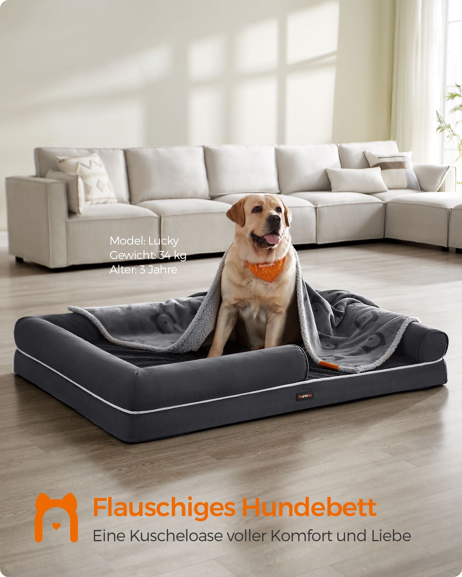 Orthopedisch hondenbed – zacht kussen – donkergrijs