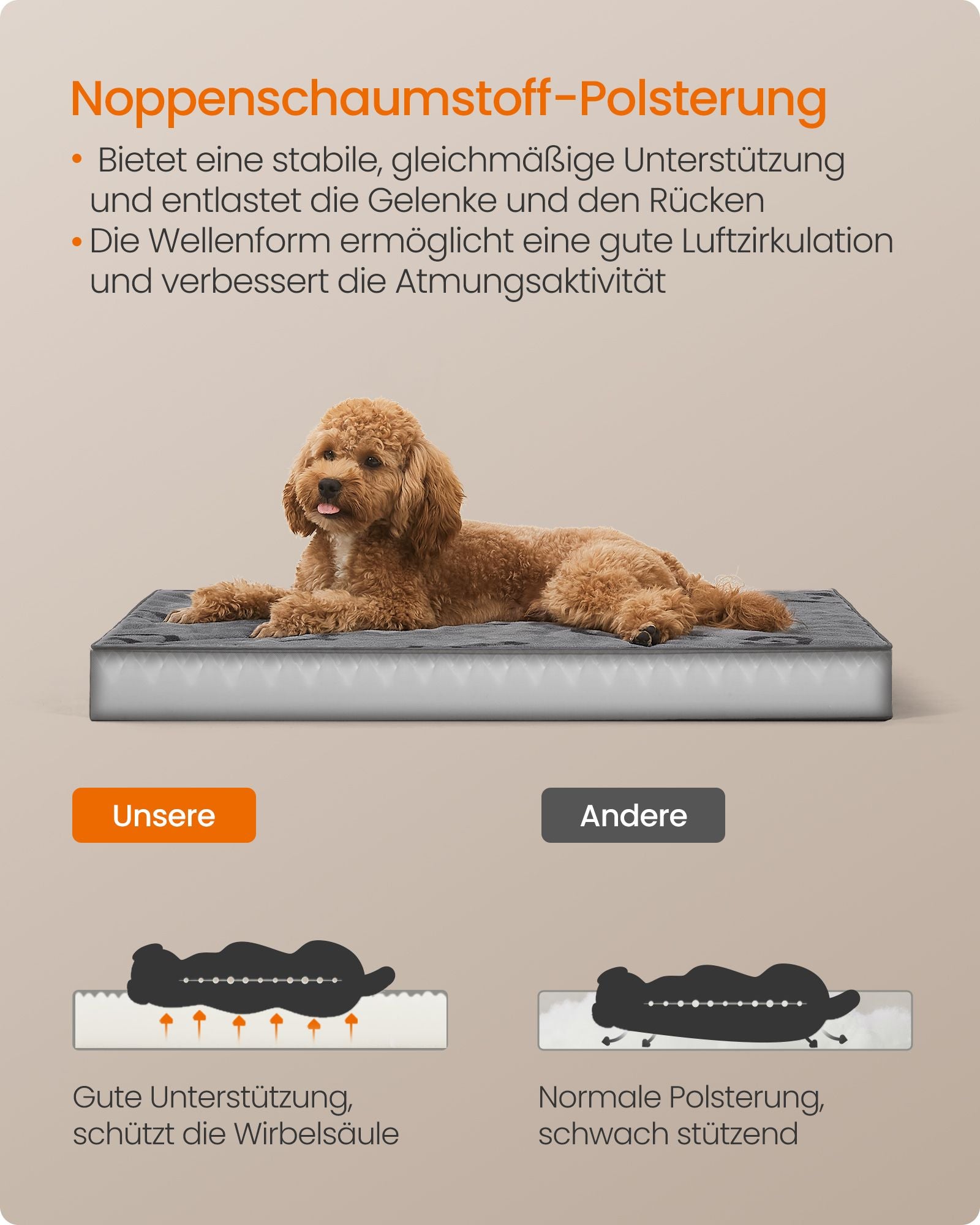Orthopedisch Hondenbed – Comfortabel en stijlvol – Duifgrijs