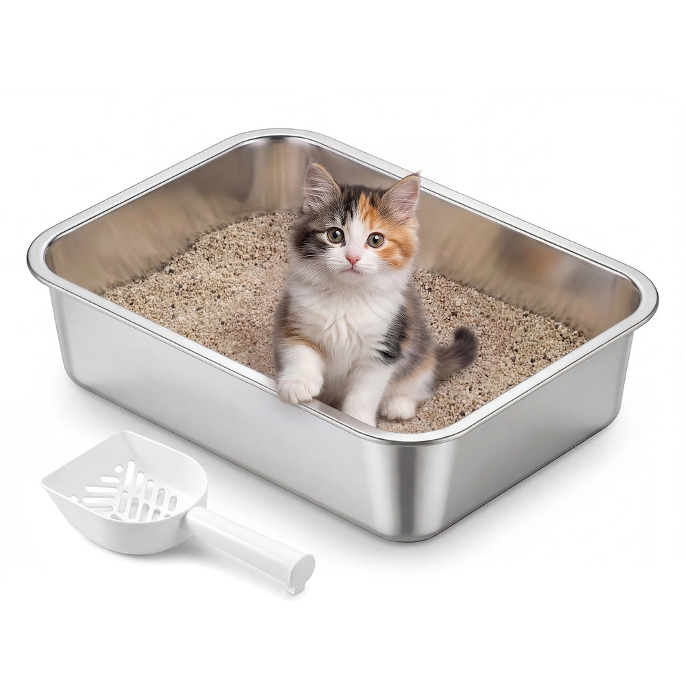 Kattenbak - 40 x 30 x 10 cm - Roestvrij staal - Zilver - Geschikt voor kittens en kleine katten