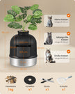 Kattenbak – Gesloten – XXL – RVS – Met Decoratieve Plant en Geurbeheersing – Inktzwart en Zilver