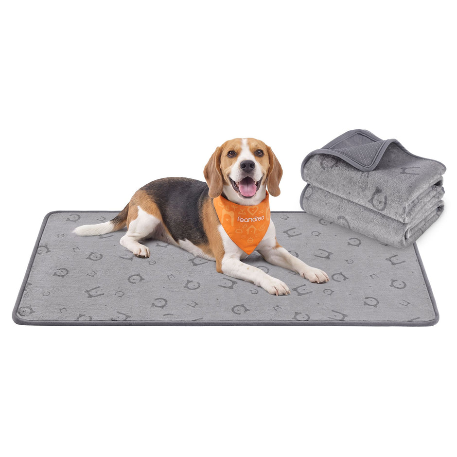 Wasbare Puppy Trainingsmatten – Set van 2 – Waterdicht en Antislip – 90 x 60 cm – Grijs