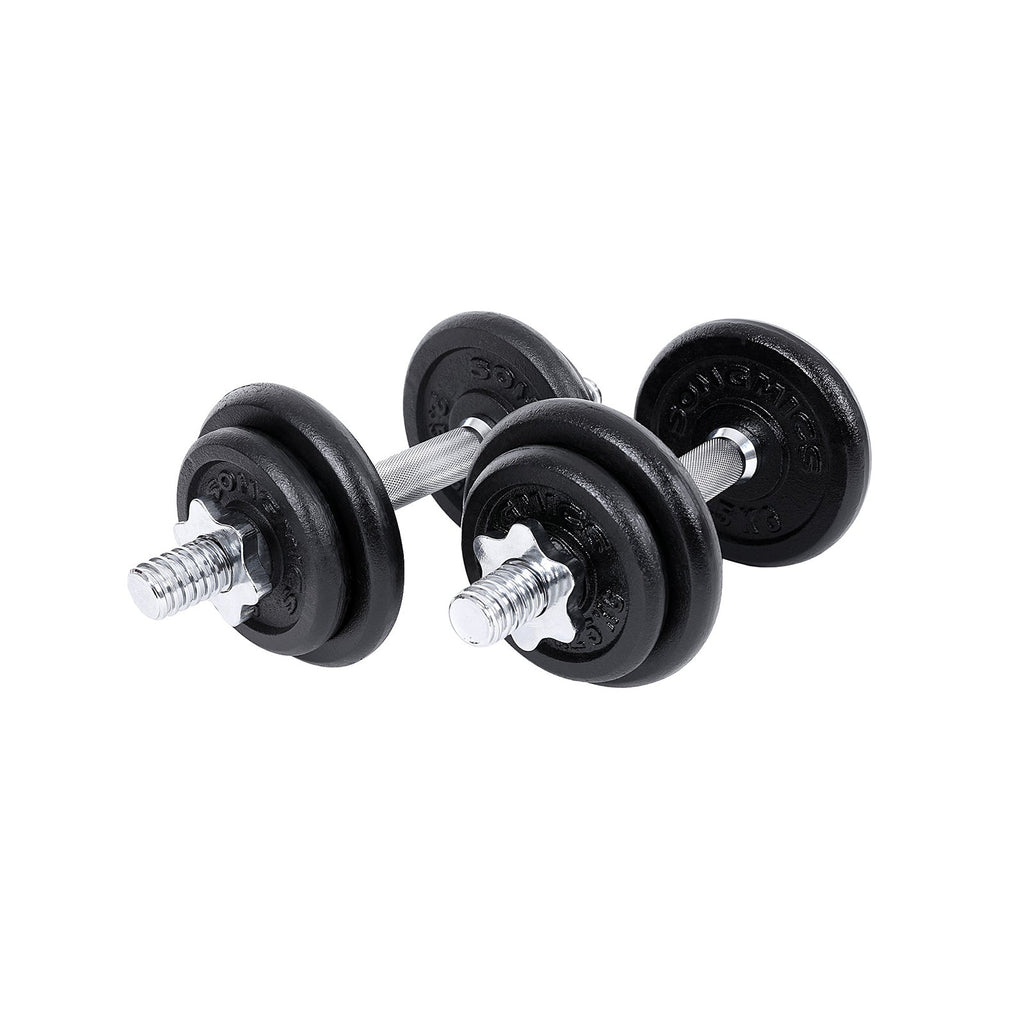 Halters - Gietijzeren dumbbells - Set van 2 - Totaal 40 kg