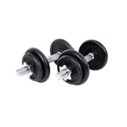 Halters - Gietijzeren dumbbells - Set van 2 - Totaal 40 kg