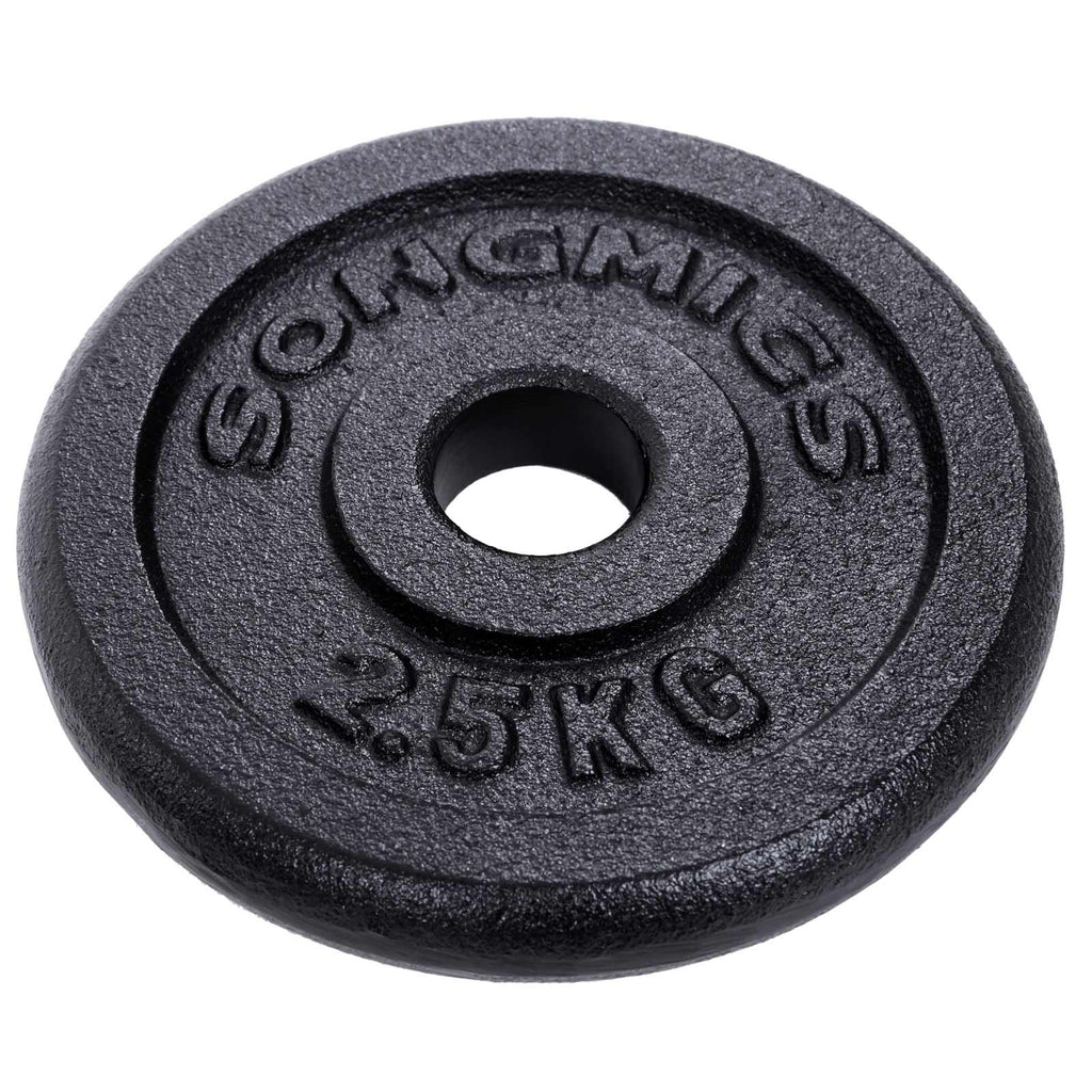 Halters - Gietijzeren dumbbells - Set van 2 - Totaal 40 kg