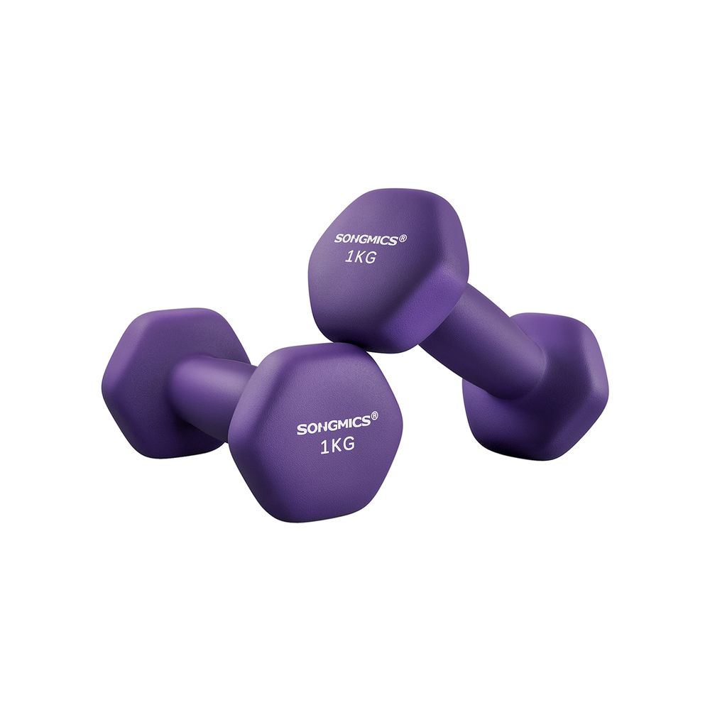 Halters - 2 Gewichten van 1 kg - Halter set - Roze