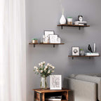 Wandplanken - Set van 2 - Zwevende planken - Industrieel design - Bruin/Zwart