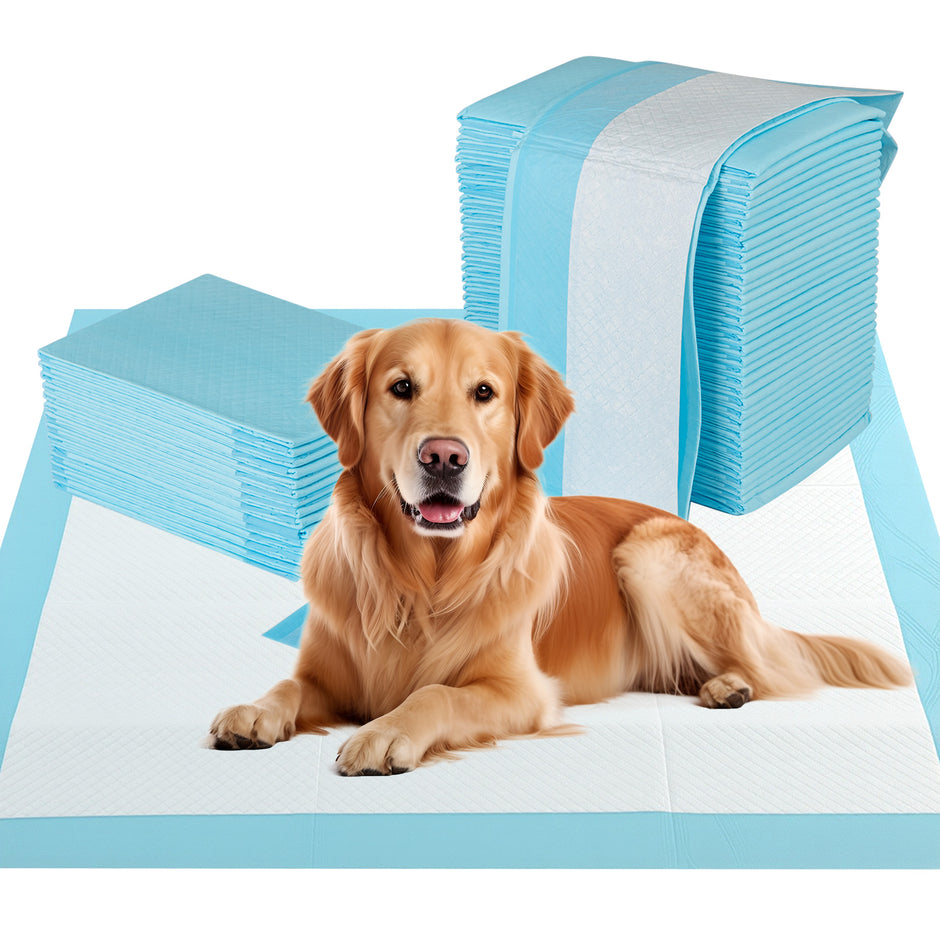 Träningsmaterial – Hunden Ute säker lagers design Valpunderlag Puppy Pads stycken – 6 90 x 90 cm 100 – Blå