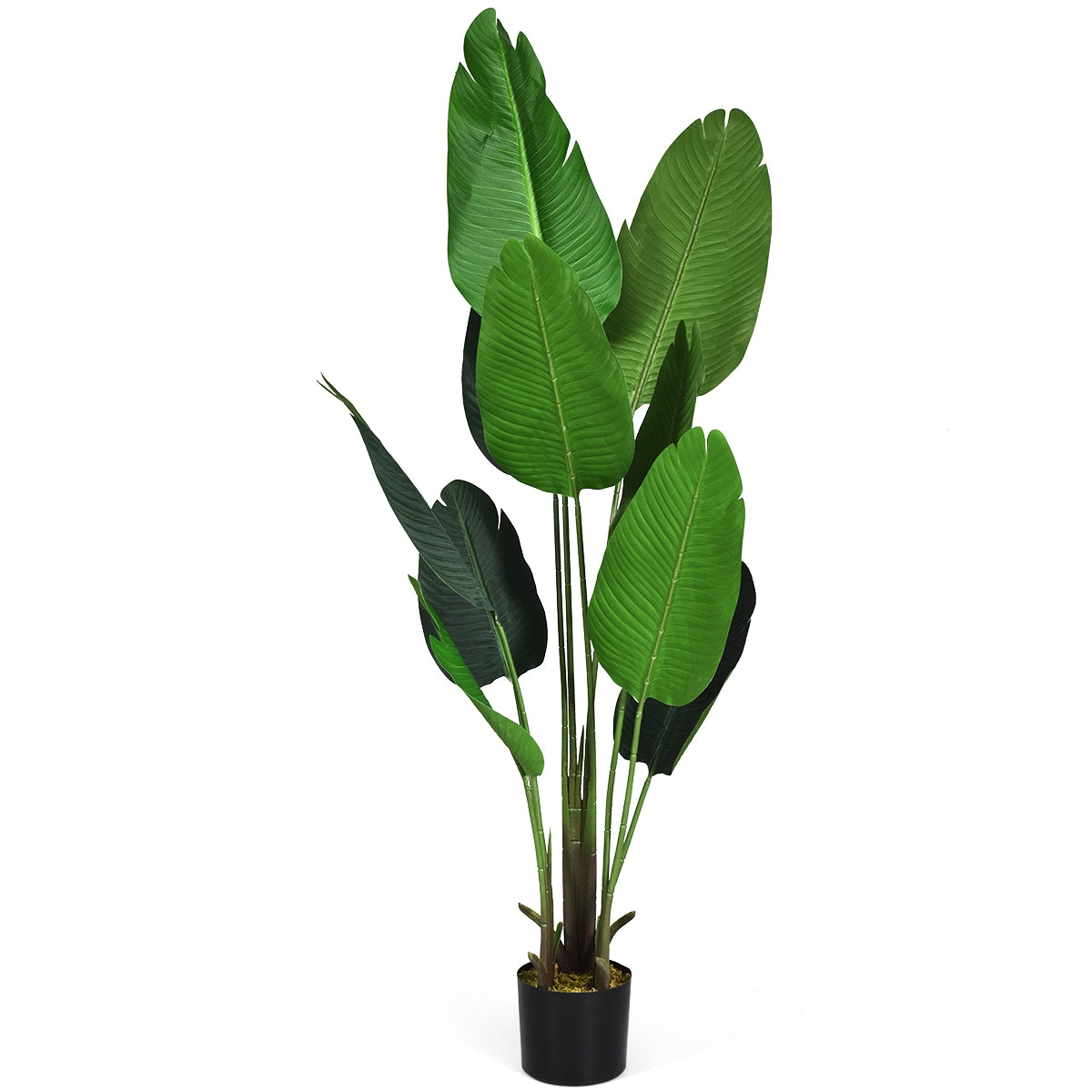Konstgjord – växt Tropisk Palm Artificiell Monstera – 160 cm – Grön
