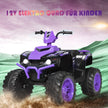 12V – Electric Kids Quad med Strålkastare Mini Musik och Horn – Lila