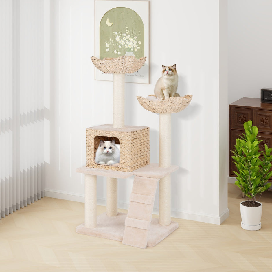 Cattail – skrapstolpe med sisalstolpar och sits katthus stege katttorn – Natur