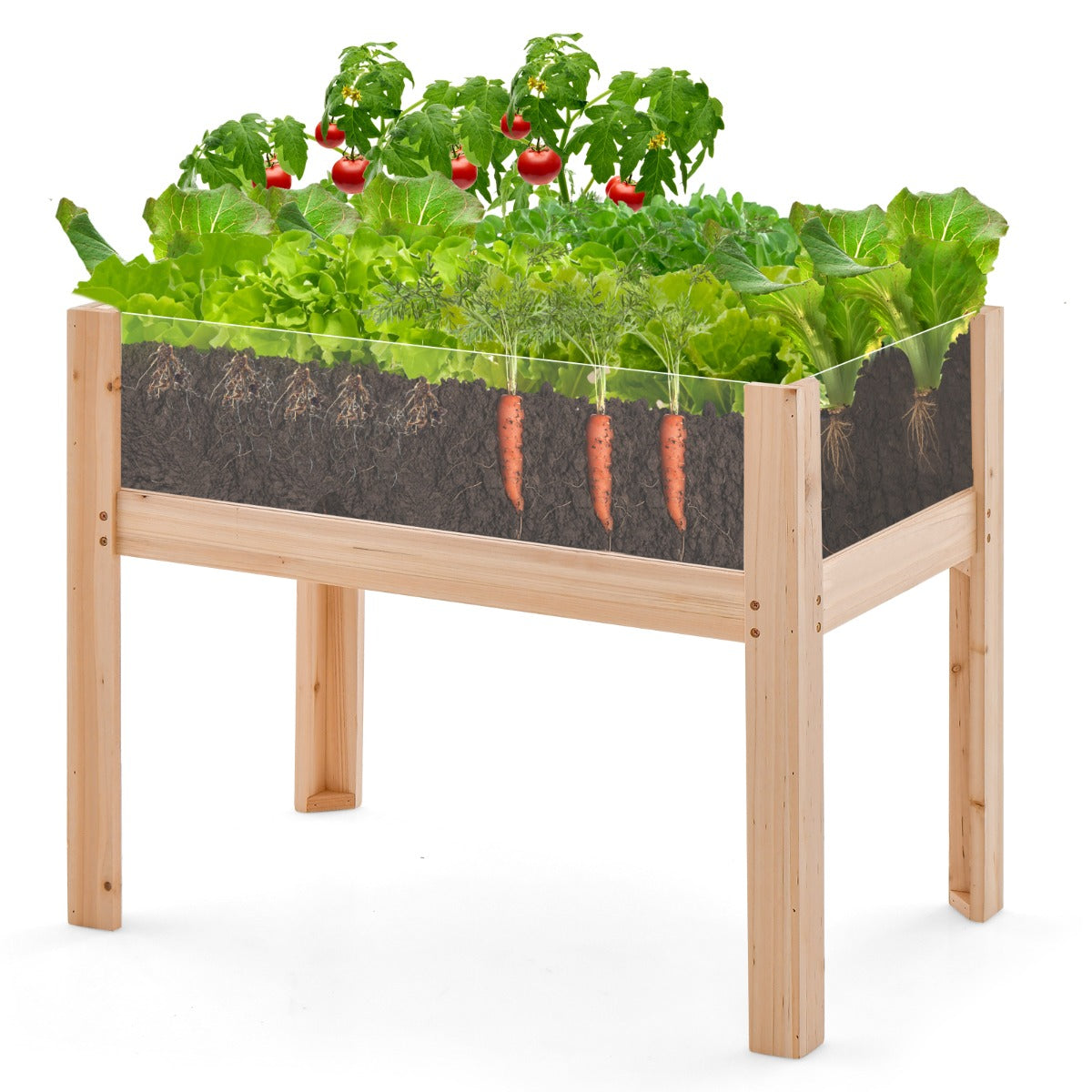 upphöjd – bädd med dräneringshål och transparenta akrylpaneler – 130 L 100 x 59 x 77 cm – Natur